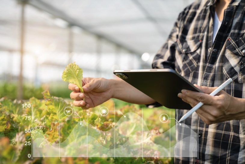 Italia: 35 miliardi per finanzilare l’agricoltura rigenerativa